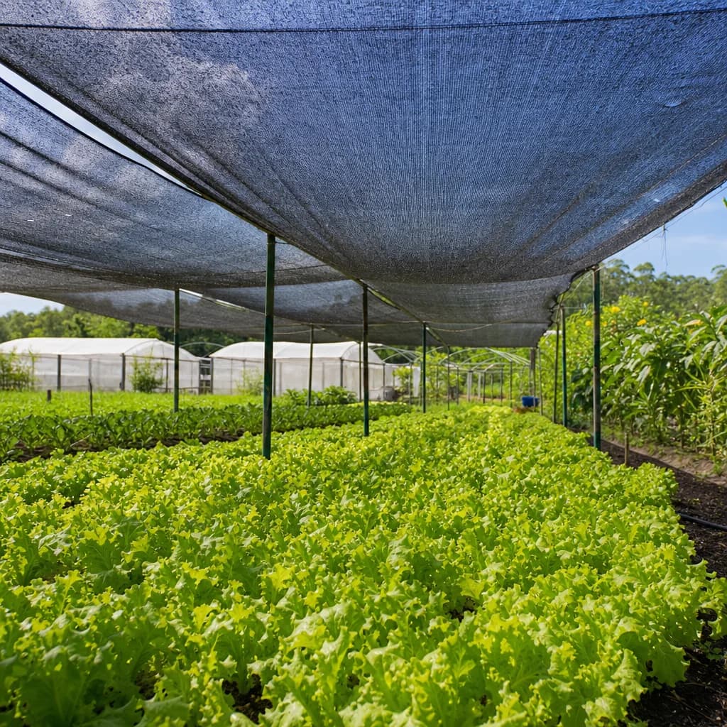 Garden Protection